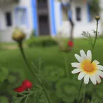 Отель Akdeniz